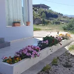 Damian Saranda